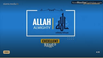 New Muslim Guide